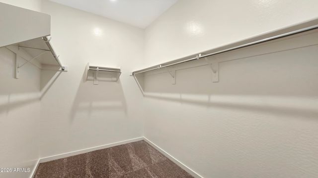 21398 W Holly Street, Buckeye, AZ 85396