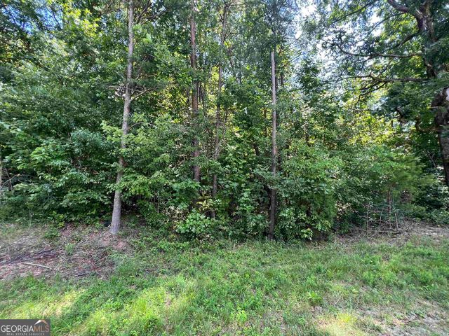 0 W Kytle Street, Cleveland, GA 30528