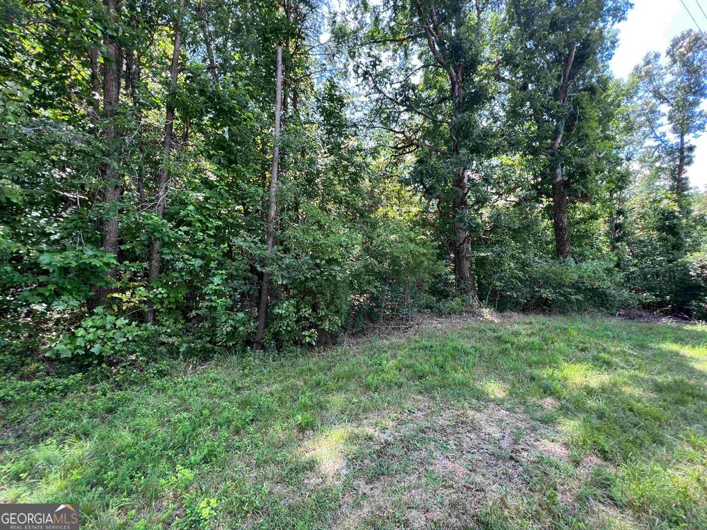 0 W Kytle Street, Cleveland, GA 30528