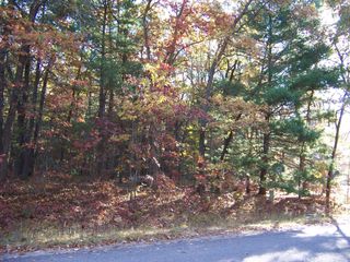 Lot 566 Winding Drive, Houghton Lake, MI 48629