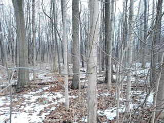 VL N 5th Street, Niles Twp, MI 49120