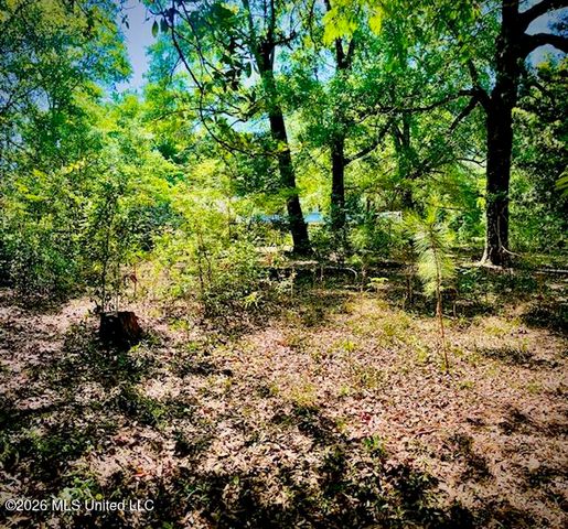 2718 Brumbaugh Road, Ocean Springs, MS 39564