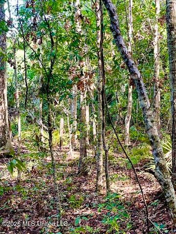 2718 Brumbaugh Road, Ocean Springs, MS 39564