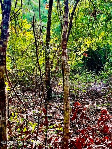 2718 Brumbaugh Road, Ocean Springs, MS 39564