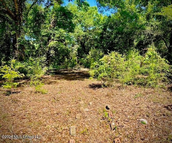 2718 Brumbaugh Road, Ocean Springs, MS 39564