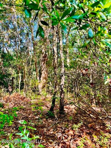2718 Brumbaugh Road, Ocean Springs, MS 39564