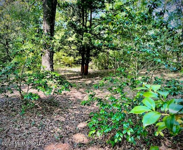 2718 Brumbaugh Road, Ocean Springs, MS 39564