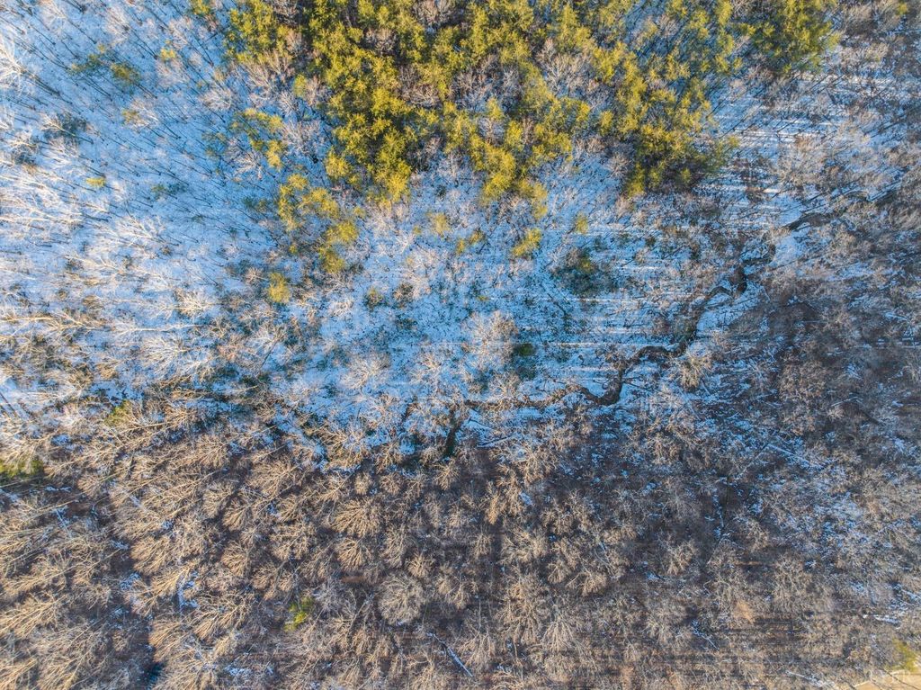 Image 21 of property listing at 0 TBD Earley Farm Road, Amherst, VA 24521