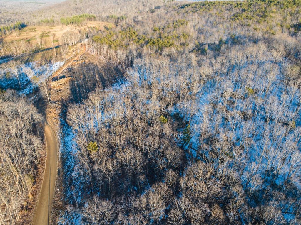 Image 22 of property listing at 0 TBD Earley Farm Road, Amherst, VA 24521