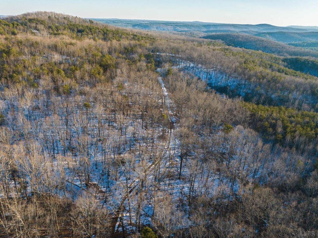 Image 23 of property listing at 0 TBD Earley Farm Road, Amherst, VA 24521