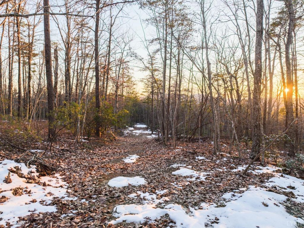 Image 25 of property listing at 0 TBD Earley Farm Road, Amherst, VA 24521