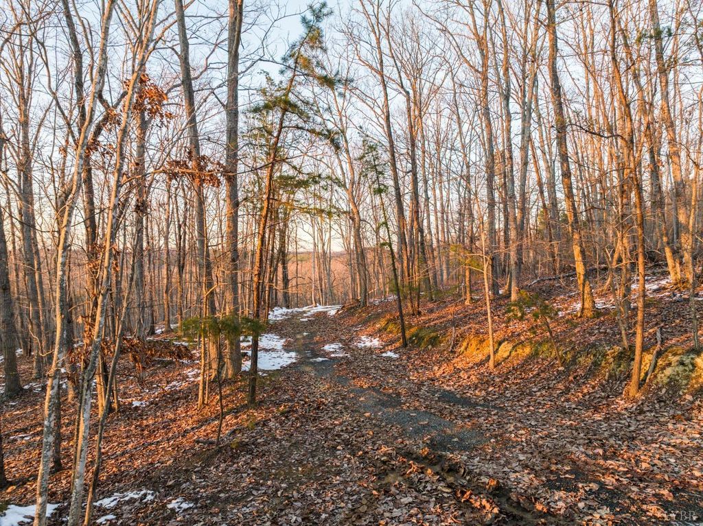 Image 27 of property listing at 0 TBD Earley Farm Road, Amherst, VA 24521