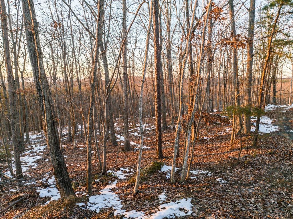 Image 29 of property listing at 0 TBD Earley Farm Road, Amherst, VA 24521