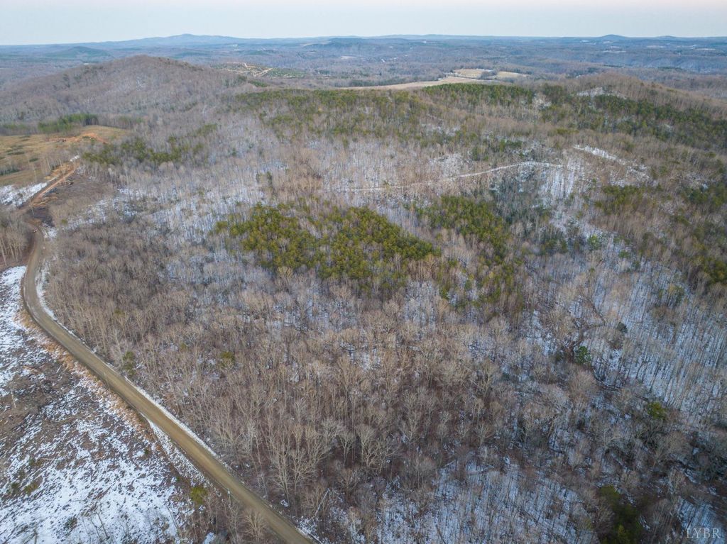 Image 42 of property listing at 0 TBD Earley Farm Road, Amherst, VA 24521