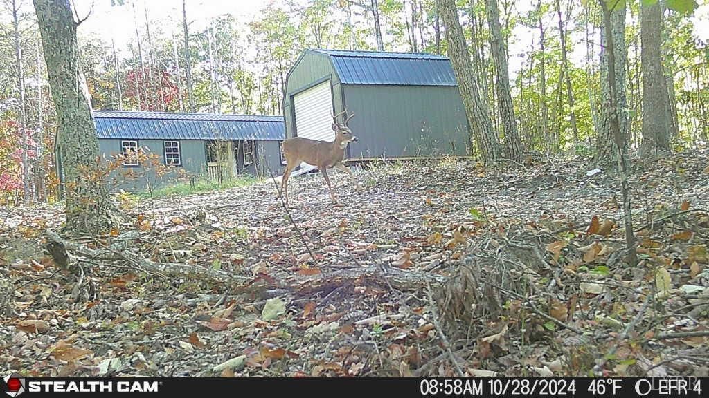 Image 50 of property listing at 0 TBD Earley Farm Road, Amherst, VA 24521