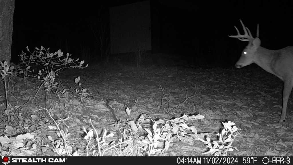 Image 51 of property listing at 0 TBD Earley Farm Road, Amherst, VA 24521