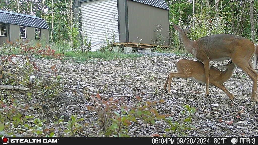 Image 52 of property listing at 0 TBD Earley Farm Road, Amherst, VA 24521