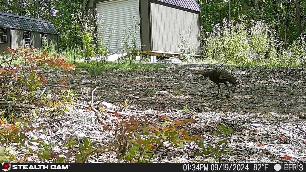 Image 53 of property listing at 0 TBD Earley Farm Road, Amherst, VA 24521