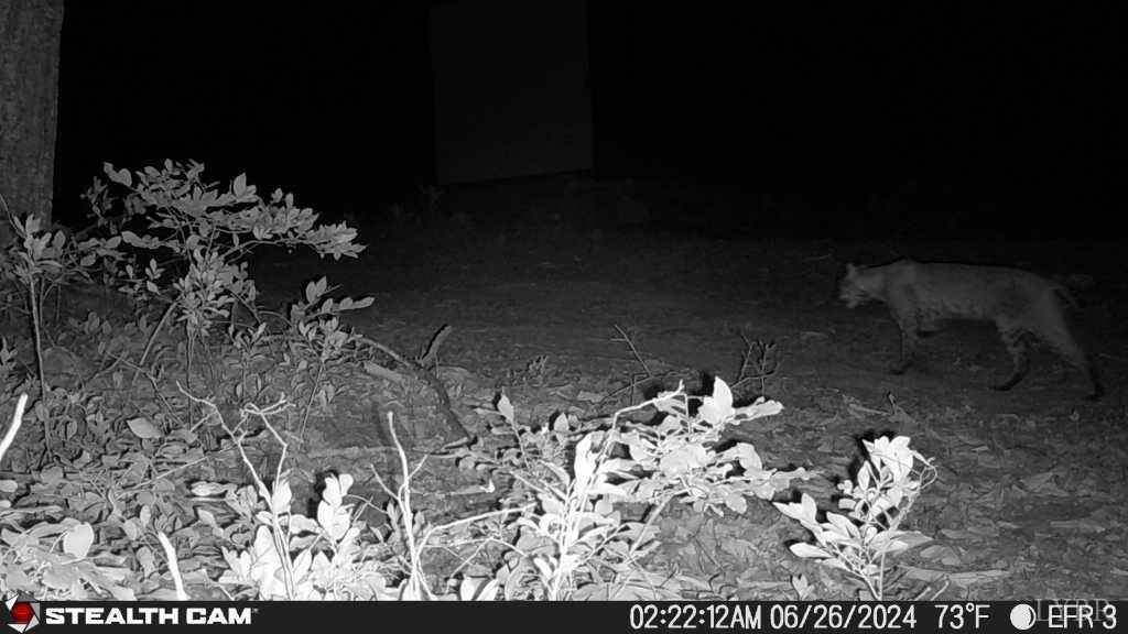 Image 54 of property listing at 0 TBD Earley Farm Road, Amherst, VA 24521