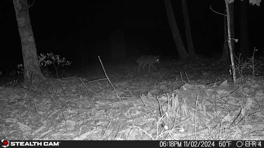 Image 55 of property listing at 0 TBD Earley Farm Road, Amherst, VA 24521