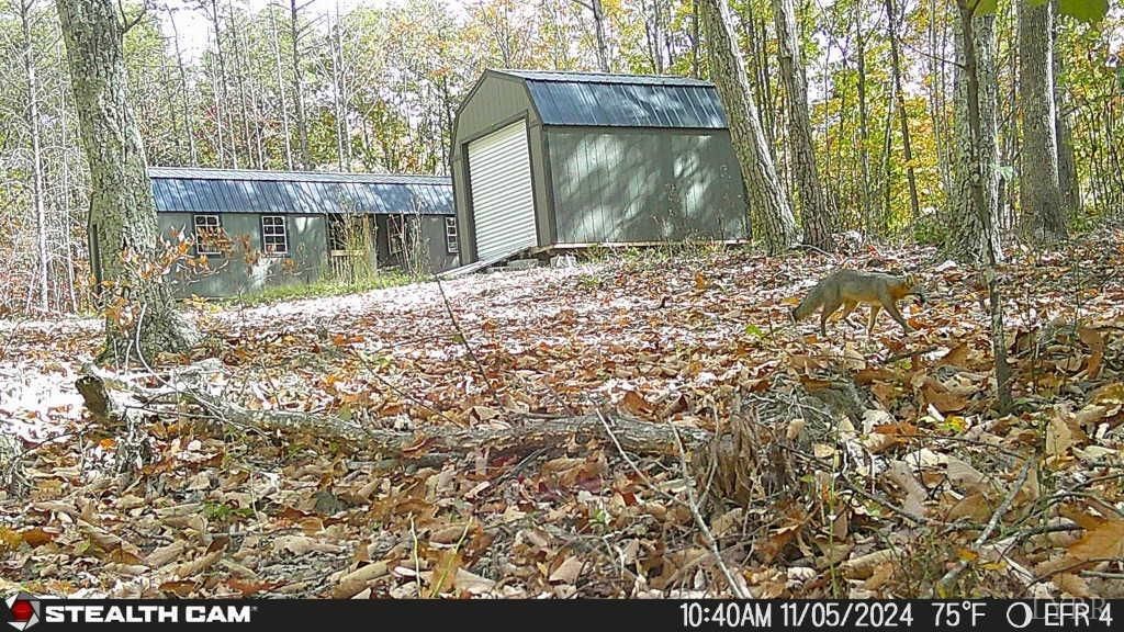 Image 56 of property listing at 0 TBD Earley Farm Road, Amherst, VA 24521