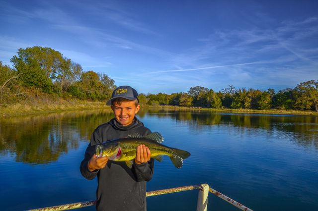 0 NE 3130, Kerens, TX 75144