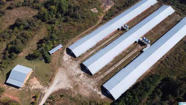 12994 COUNTY ROAD 65, Roanoke, AL 36274