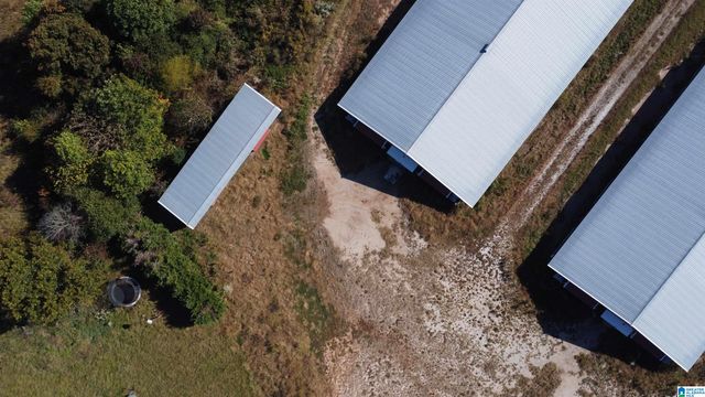 12994 COUNTY ROAD 65, Roanoke, AL 36274