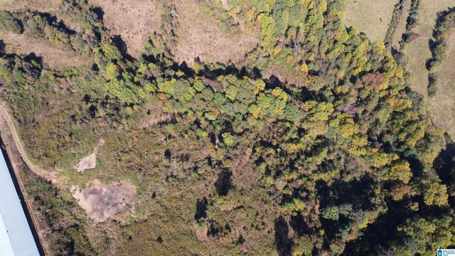 12994 COUNTY ROAD 65, Roanoke, AL 36274