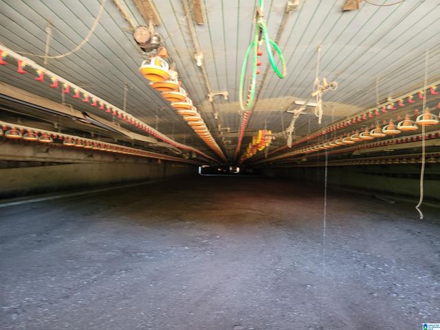 12994 COUNTY ROAD 65, Roanoke, AL 36274