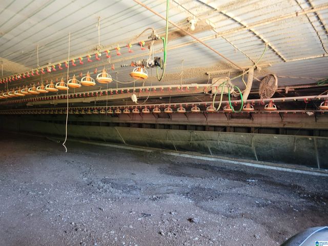 12994 COUNTY ROAD 65, Roanoke, AL 36274