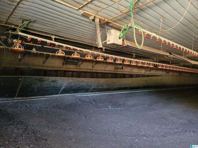 12994 COUNTY ROAD 65, Roanoke, AL 36274