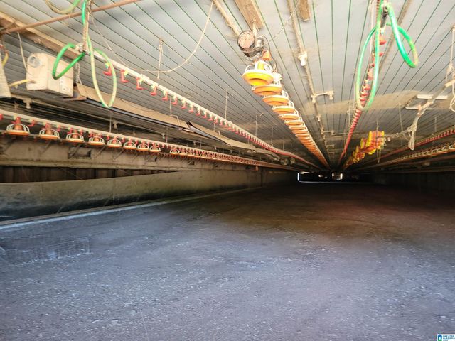 12994 COUNTY ROAD 65, Roanoke, AL 36274