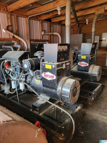 12994 COUNTY ROAD 65, Roanoke, AL 36274