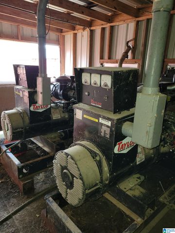 12994 COUNTY ROAD 65, Roanoke, AL 36274