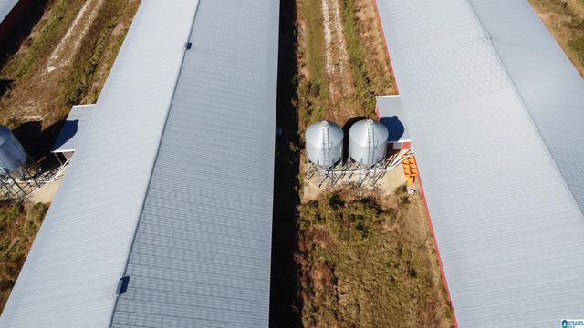 12994 COUNTY ROAD 65, Roanoke, AL 36274