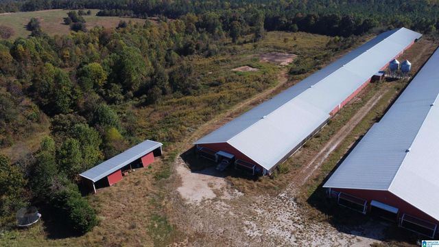 12994 COUNTY ROAD 65, Roanoke, AL 36274