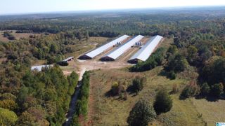 12994 COUNTY ROAD 65, Roanoke, AL 36274