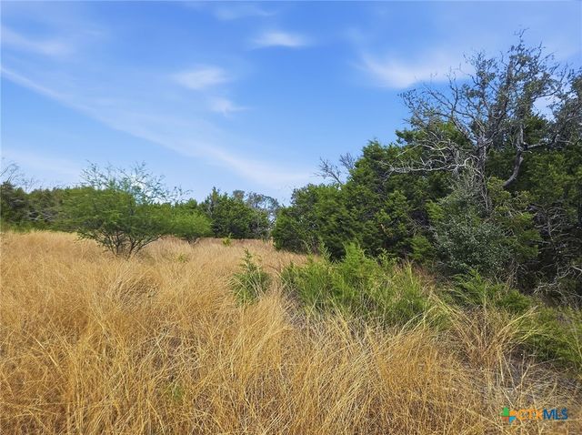 Lot 25 & 26 Ph 4 PR 4212, Evant, TX 76525