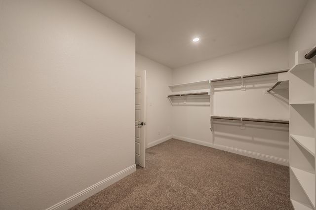 3424 Cimarron River Drive, Celina, TX 75078