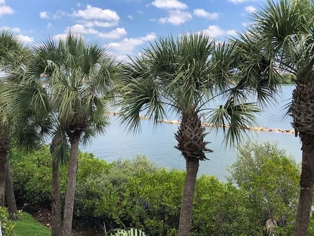 924 HEMINGWAY CIRCLE, Tampa, FL 33602