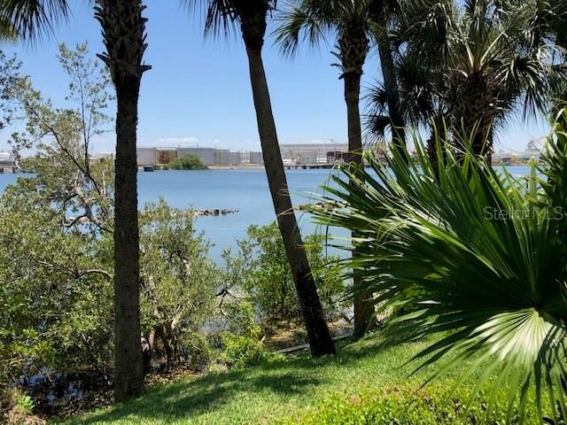 924 HEMINGWAY CIRCLE, Tampa, FL 33602