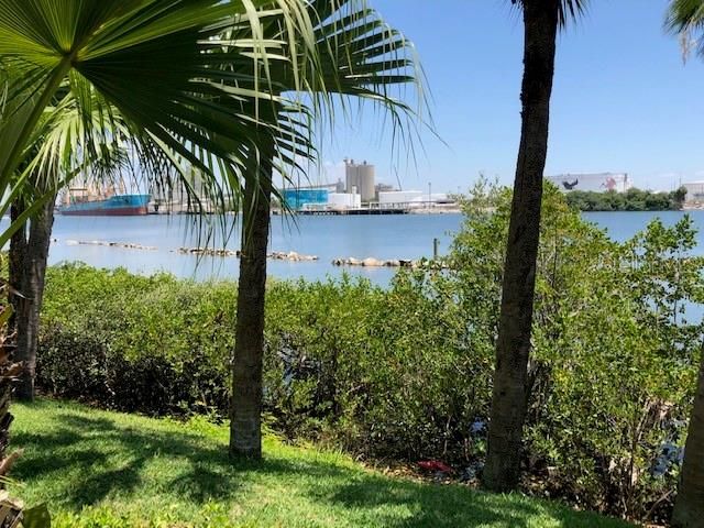 924 HEMINGWAY CIRCLE, Tampa, FL 33602