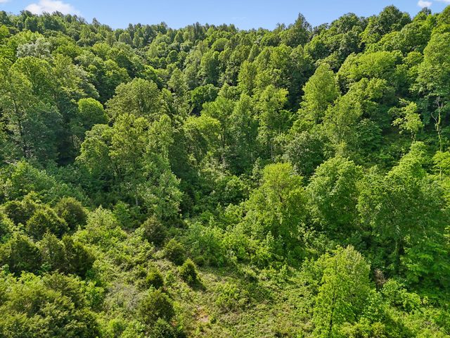 0 Conley Rd, Woodbury, TN 37190