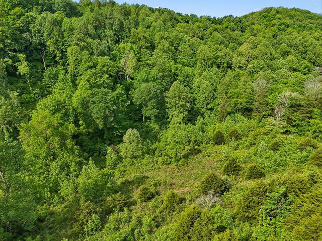 0 Conley Rd, Woodbury, TN 37190
