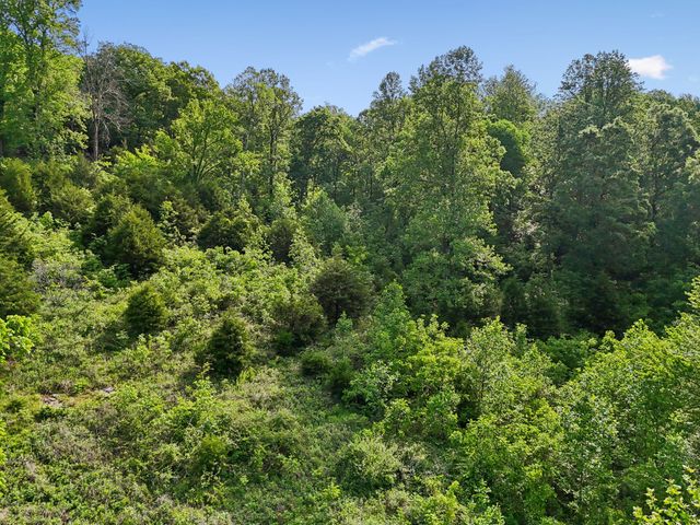 0 Conley Rd, Woodbury, TN 37190