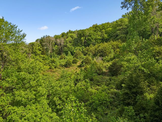 0 Conley Rd, Woodbury, TN 37190