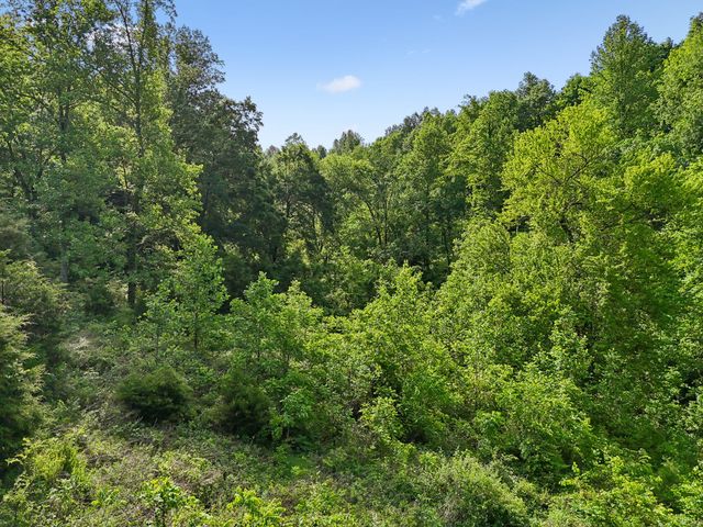 0 Conley Rd, Woodbury, TN 37190