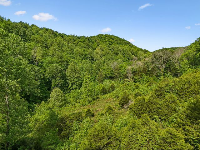 0 Conley Rd, Woodbury, TN 37190