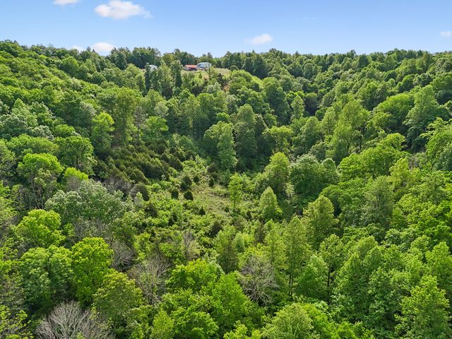 0 Conley Rd, Woodbury, TN 37190